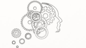 Desde mi aldea: Corazón, vísceras y cerebro