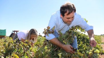 Paco Núñez traslada al sector vitivinícola de Castilla-La Mancha el apoyo decidido del PP-CLM en plena campaña de vendimia