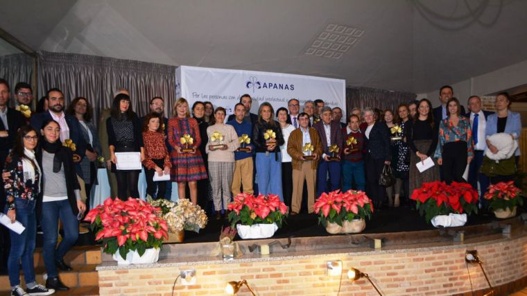 La Diputación de Toledo recibe el reconocimiento de socio de honor de APANAS