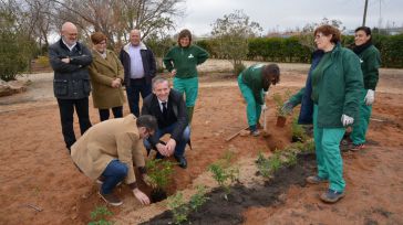 El programa de recualificación y reciclaje de Madridejos mejora los espacios verdes de la localidad