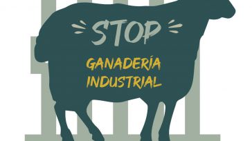 Organizaciones ecologistas y población afectada por la ganadería industrial porcina rechazan la nueva legislación para su regulación 