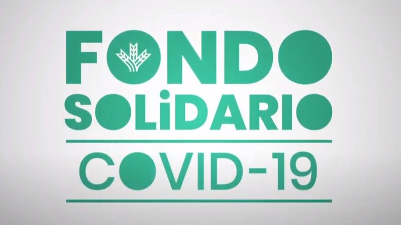 Fondo Solidario GLOBALCAJA COVID-19: El Colegio de Médicos de Ciudad Real compra Epis y test de diagnóstico