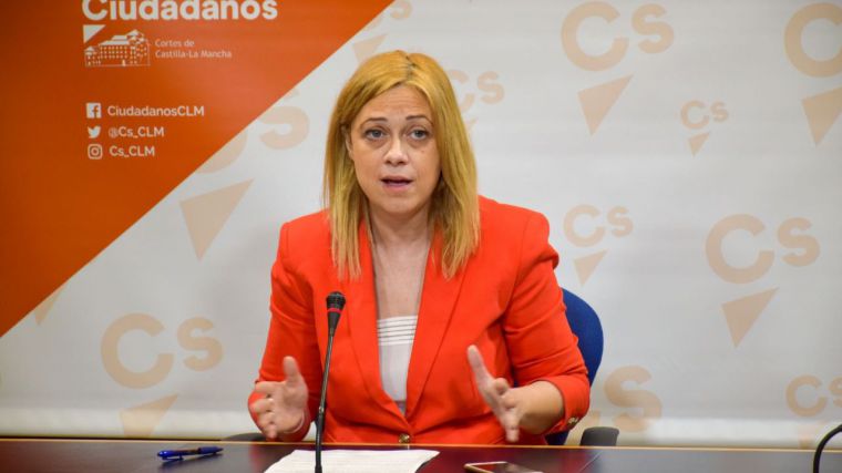 Ciudadanos sale en defensa de los profesionales liberales y pide para ellos “un salvavidas económico”