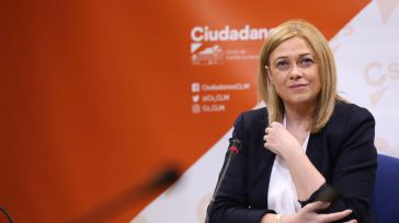 Picazo reivindica el papel de Ciudadanos en su primer año en las Cortes: “política útil para rebajar la bronca”