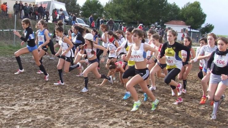 La Diputación de Toledo aumenta en más de 220.000 euros las ayudas para fomentar el deporte en la proincia de Toledo