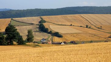 El gobierno libra hoy 18,6 millones de euros de ayudas a zonas de montaña a 11.500 agricultores