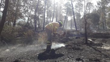Se reduce un 72% la superficie quemada por incendios forestales respecto al año pasado
