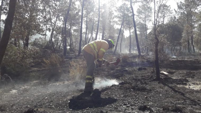 Se reduce un 72% la superficie quemada por incendios forestales respecto al año pasado