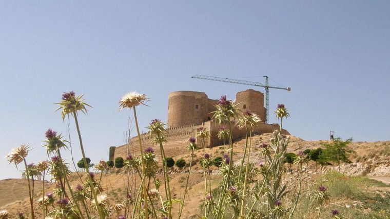 Castillo de Consuegra