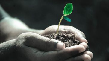 La Diputación de Toledo pone en marcha un nuevo programa de plantaciones participativas contra el cambio climático