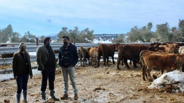 Núñez muestra su apoyo a los ganaderos de Castilla-La Mancha tras los problemas que les ha causado el temporal de nieve