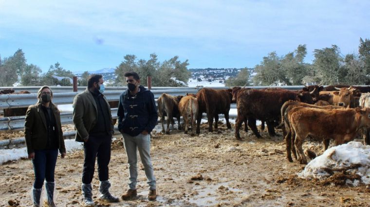 Núñez muestra su apoyo a los ganaderos de Castilla-La Mancha tras los problemas que les ha causado el temporal de nieve