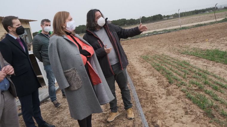 Mañana reabren los parques y yacimientos arqueológicos de Castilla-La Mancha que seguirán siendo gratuitos hasta el 31 de mayo