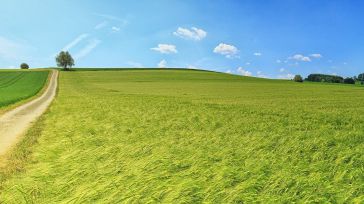 La UCLM impulsa el nuevo programa de prácticas universitarias en zonas rurales animando a entidades públicas y privadas a participar