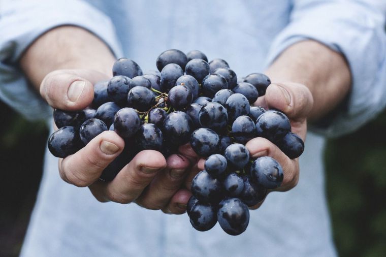 El gobierno rebaja los módulos del IRPF para agricultura y ganadería con un impacto de 1.000 millones de euros