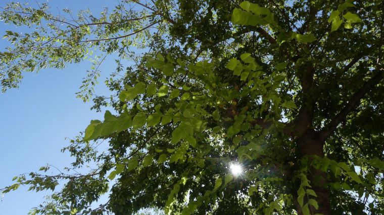 CEOE CEPYME Cuenca reivindica unas empresas responsables con el medio ambiente el 5 de junio