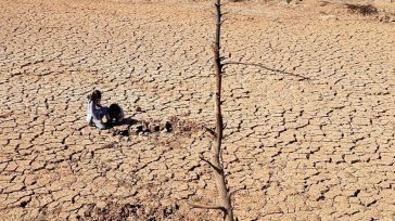 La UCLM participa en un estudio internacional que evalúa la restauración de zonas áridas en todo el mundo