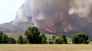 El Gobierno declarará este martes "zonas gravemente afectadas" a todas las CCAA que hayan sufrido incendios este verano