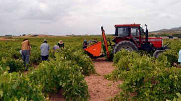 CLM estima un 20% menos de uva, garantiza precios justos y apunta a bajas cosechas en Europa para augurar buena campaña
