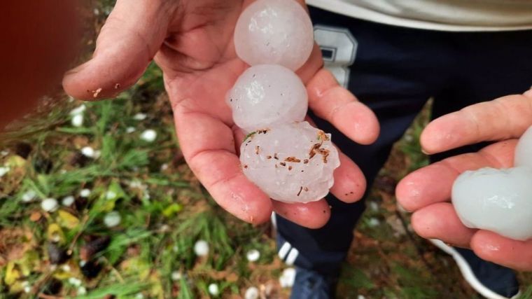 Asaja lamenta daños irreparables en campos de Toledo, Albacete y Ciudad Real por las tormentas de granizo