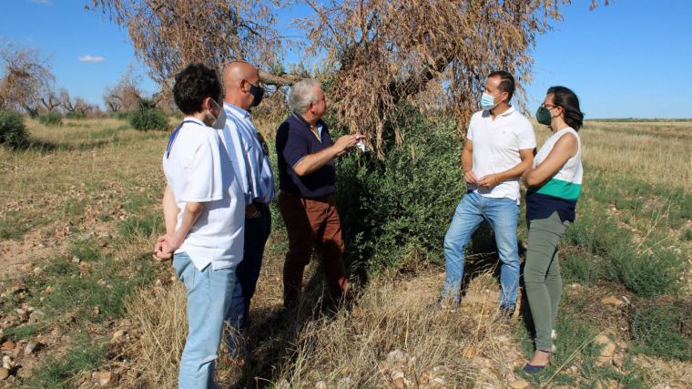 Velázquez: “Nueve meses después de Filomena no tenemos ni un solo euro de los prometidos por Page para ayudar a los agricultores”