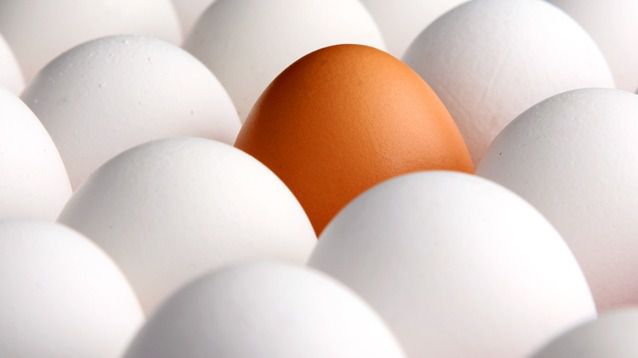 Castilla-La Mancha, la región con más huevos y donde menos se consumen