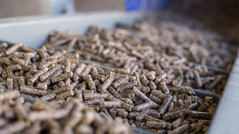 Las plantas castellano-manchegas de pellets produjeron 51.820 toneladas en 2020