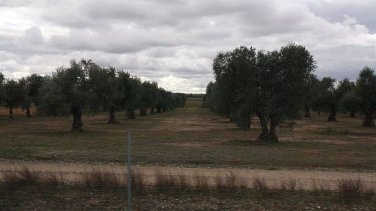 CLM mejorará el Plan de Seguros Agrarios aumentando su presupuesto en un 25% este año