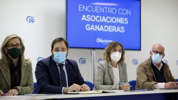 El PP-CLM continúa diseñando el Plan de Apoyo y Protección al sector ganadero que Núñez llevará próximamente a las Cortes Regionales