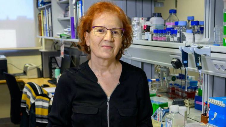 La viróloga e inmunóloga Margarita del Val participará el 4 de marzo en los seminarios biomédicos de la Facultad de Medicina de Ciudad Real 