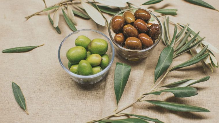 La industria de aceituna de mesa paralizará su actividad desde este viernes por el paro del transporte