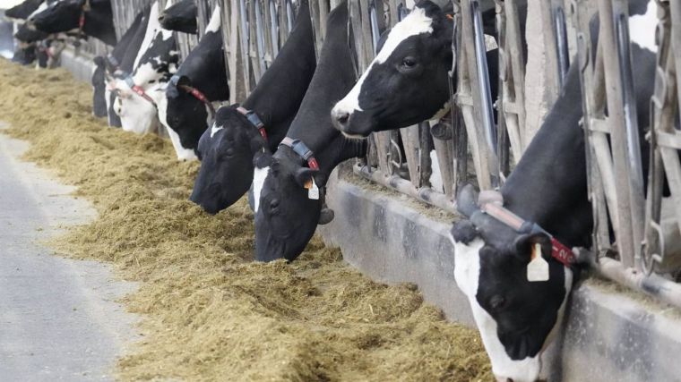La industria láctea paraliza su actividad a partir de este jueves por la huelga de transportes