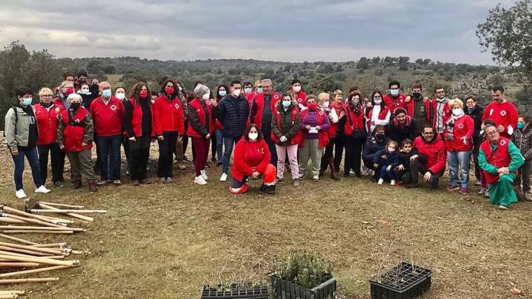 La Diputación de Toledo colabora con Cruz Roja en la plantación de 500 plantas autóctonas en El Borril