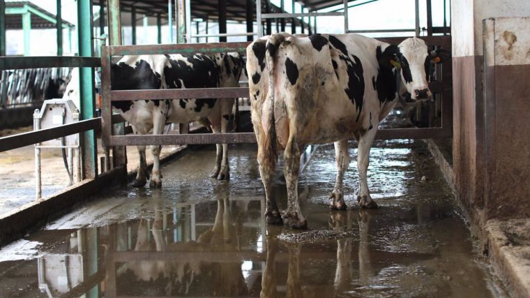 CEOE y APAG estiman que las empresas de Guadalajara empezarán a sufrir en semanas el impacto de la invasión rusa a Ucrania