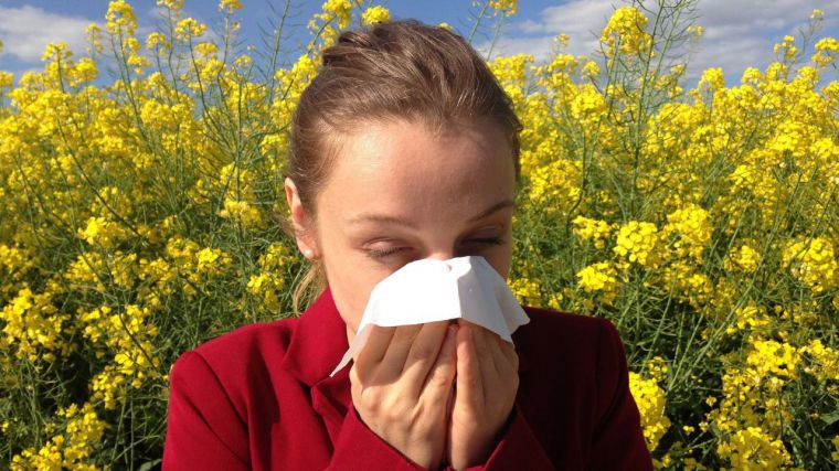 Buenas noticias para los alérgicos de CLM: Esta primavera será más suave