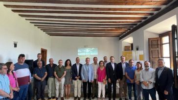 Castilla-La Mancha pagará 11 millones de euros en ayudas a 1.100 olivicultores afectados por el temporal Filomena