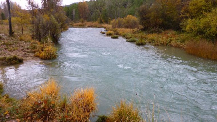 CLM convoca a bancos, cajas y asociaciones a colaborar en la tramitación de licencias de caza y pesca por alta demanda