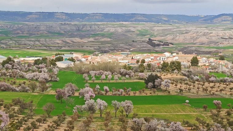 La tramitación de un complejo de tres macrogranjas porcinas despierta una gran inquietud vecinal en la Alcarria conquense