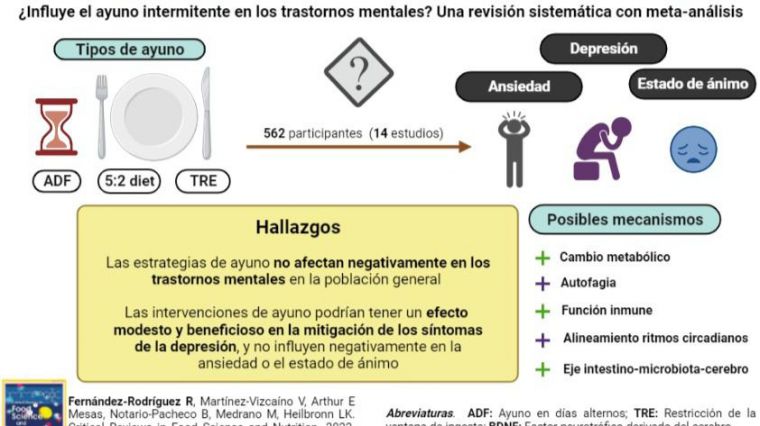 Un estudio de la UCLM sugiere que el ayuno intermitente podría mitigar los efectos de la depresión