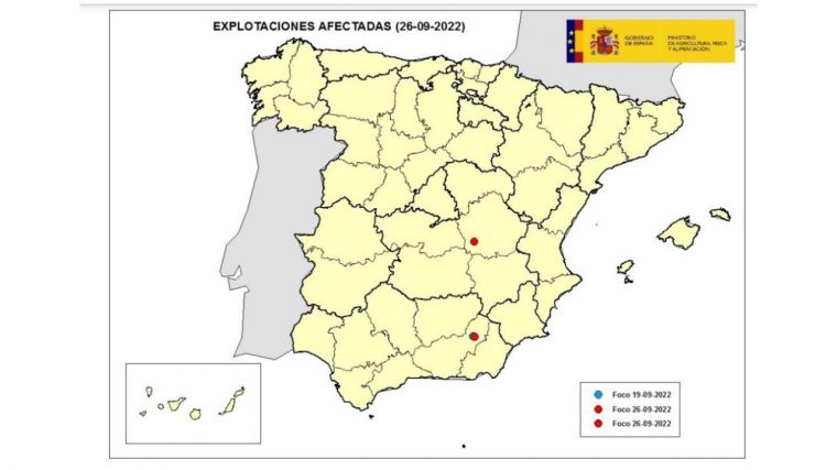 Detectado un caso de viruela ovina y caprina en Villaescusa de Haro (Cuenca)