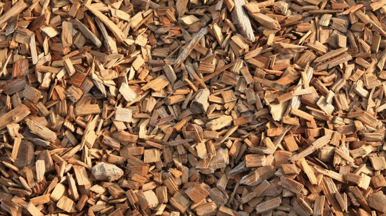 Competencia pone el foco sobre las empresas de astillas de madera por repartirse el mercado en España y Portugal