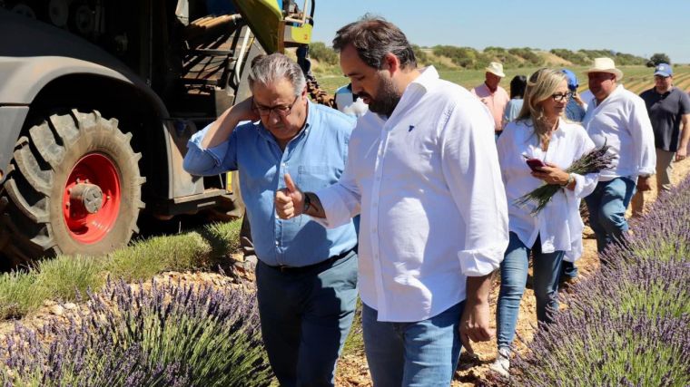 Núñez agradece al PP Europeo su trabajo para frenar el ataque al sector de la lavanda y que no sea considerada un químico