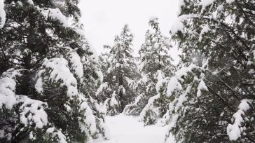 CLM activa el Meteocam en fase de alerta en toda la región ante la tormenta invernal de nieve y viento