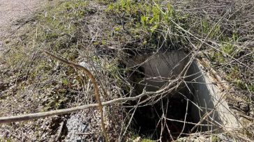 Velázquez alerta del total abandono de las riberas del Tajo y del estado del Parque de Polvorines, calificando su situación de “verdadero desastre”