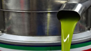 Castilla-La Mancha se consolida como segunda productora de aceite de oliva del país 