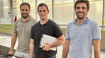 La conquense Acemi Spain lidera un programa de mejora genética del pistacho, del que CLM produce el 75% del total nacional 
