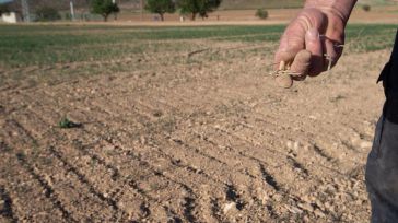 Arroyo trasladará a la Mesa de la Sequía de CLM que los fondos del PDR se usen para dar ayudas directas a agricultores