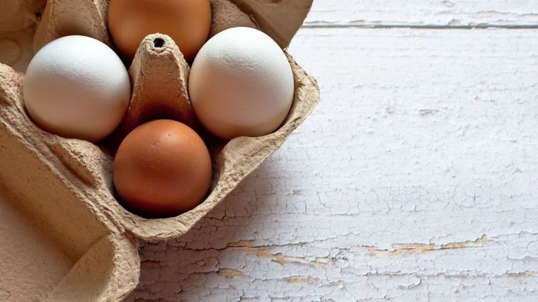 Se mantiene el proceso de concentración empresarial en el sector de los huevos, que lidera CLM