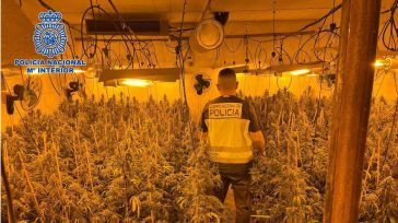 La Policía Nacional desmantela un centro de producción de marihuana a gran escala en Talavera de la Reina