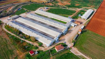 La concentración empresarial "made in CLM" da lugar al segundo mayor productor de huevos de España
